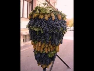 fruits in tajikistan