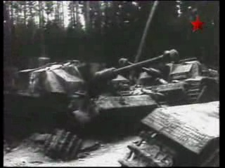 war in the forests: estonian occupation (tk zvezda, 2009)