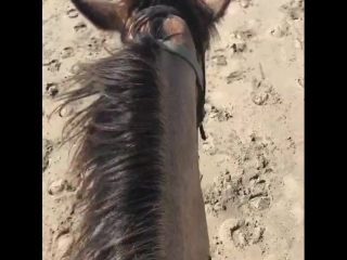 skyla novea saddled a stallion1 big tits big ass